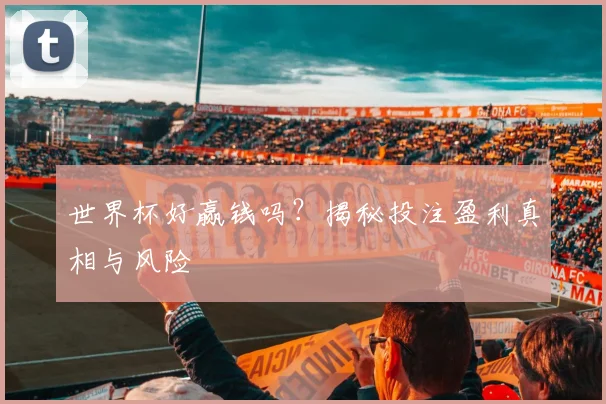 世界杯好赢钱吗?揭秘投注盈利真相与风险