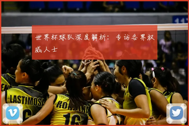 世界杯球队深度解析:专访各界权威人士
