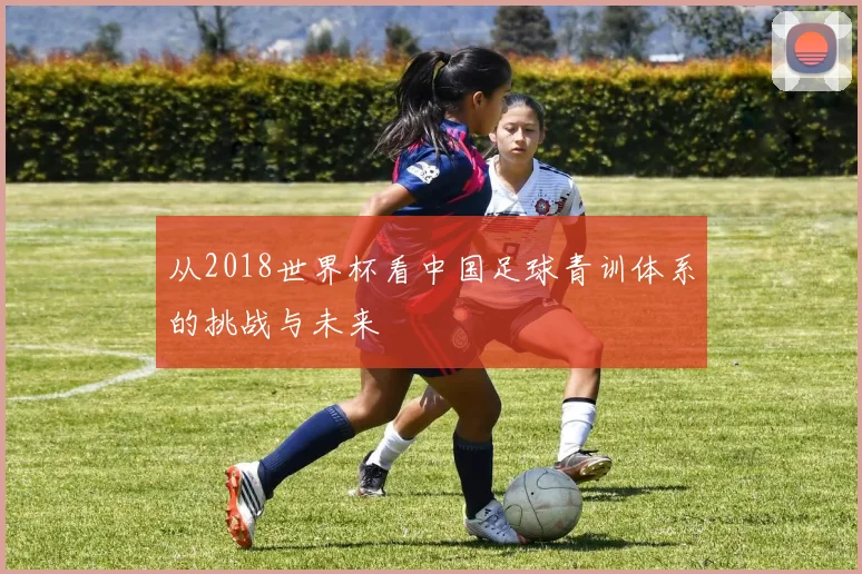 从2018世界杯看中国足球青训体系的挑战与未来