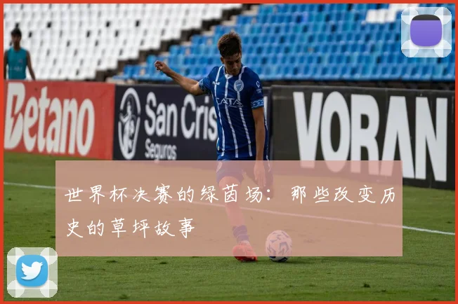 世界杯决赛的绿茵场:那些改变历史的草坪故事