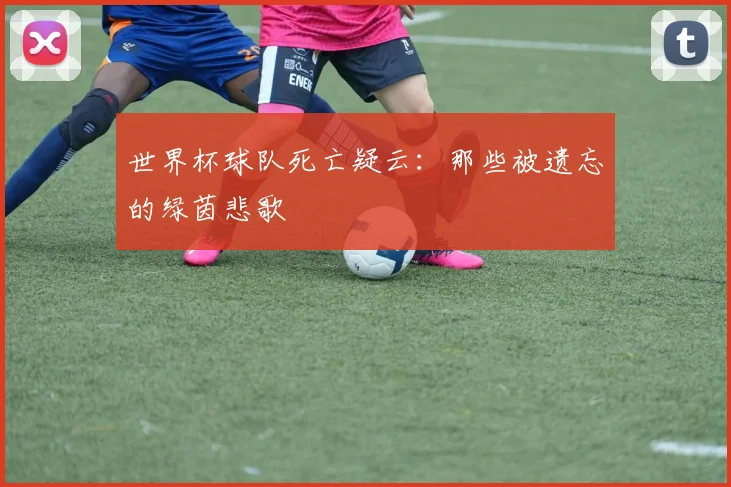 世界杯球队死亡疑云:那些被遗忘的绿茵悲歌