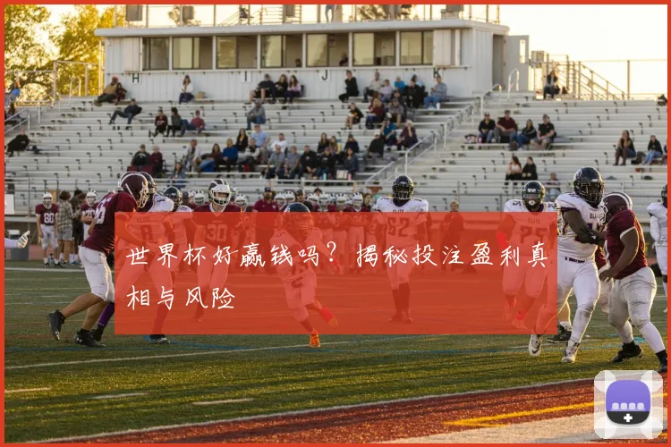 世界杯好赢钱吗？揭秘投注盈利真相与风险