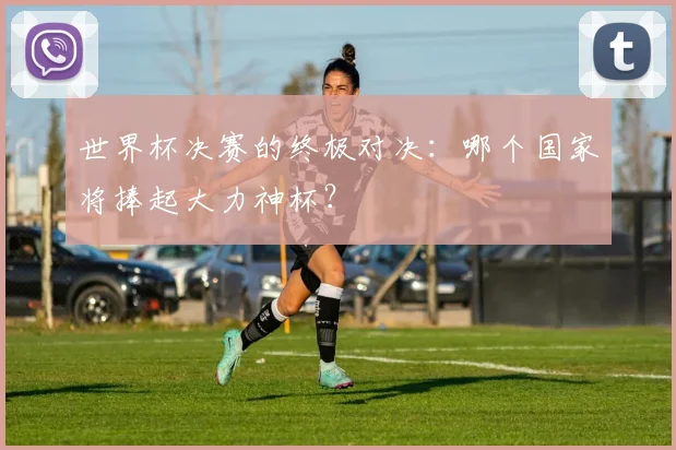 世界杯决赛的终极对决:哪个国家将捧起大力神杯?