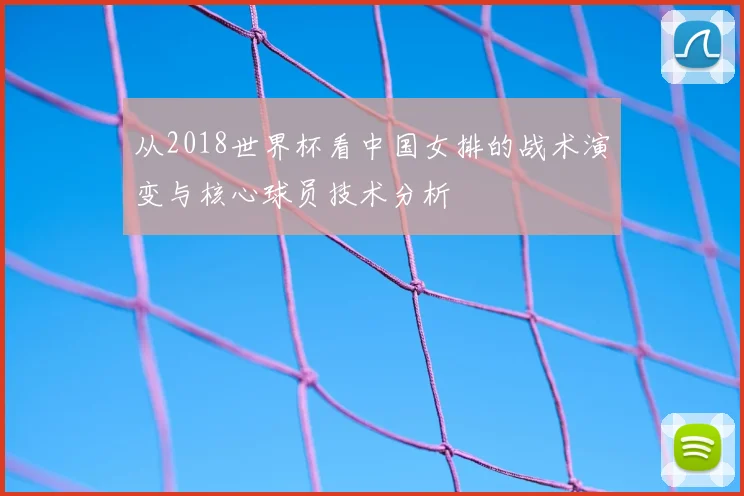 从2018世界杯看中国女排的战术演变与核心球员技术分析