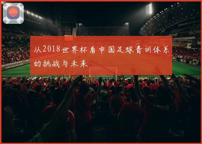 从2018世界杯看中国足球青训体系的挑战与未来